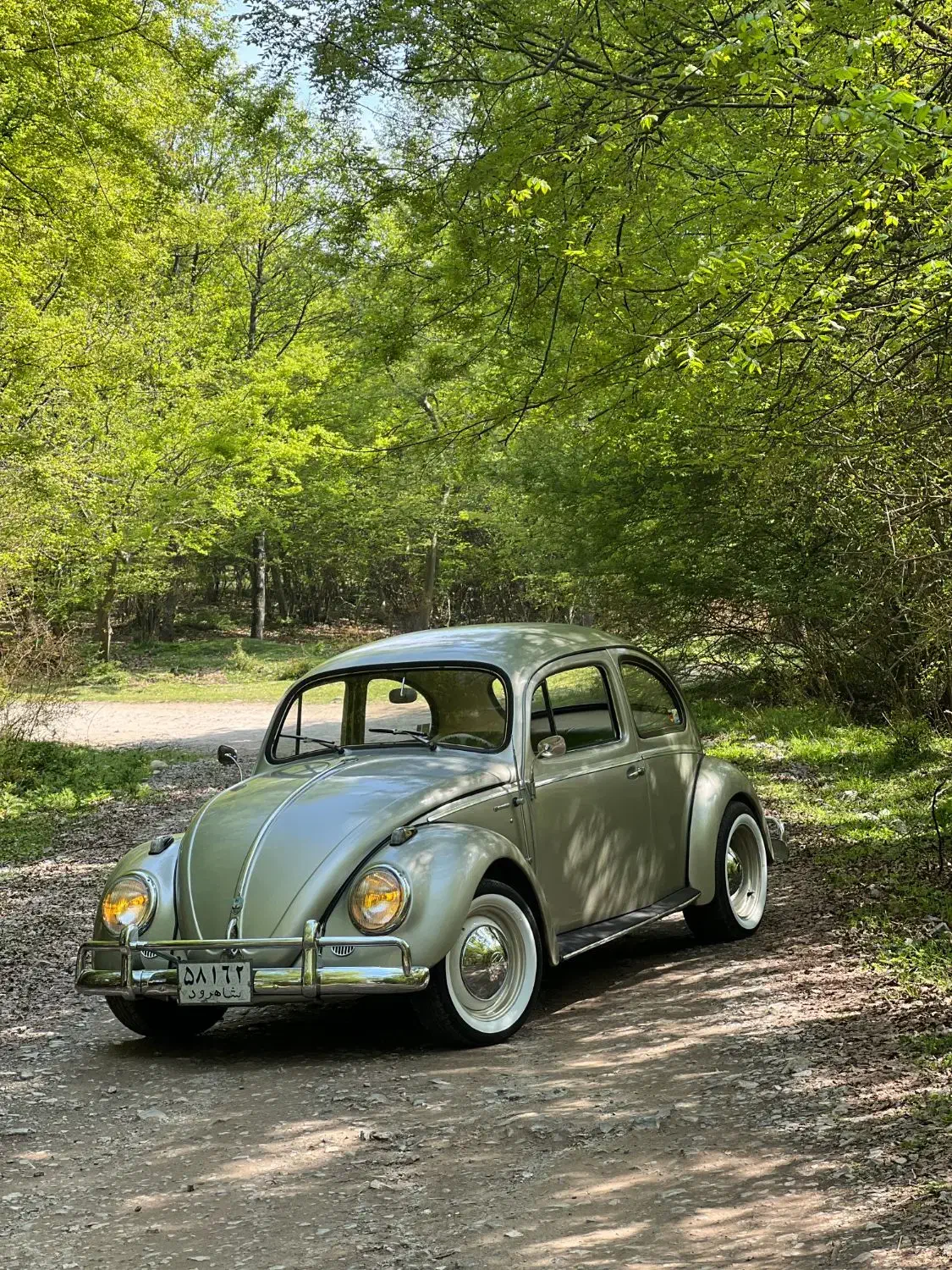 اجاره ماشین عروس خاص کلاسیک فولکس|خودرو اجارهای|آمل, |دیوار