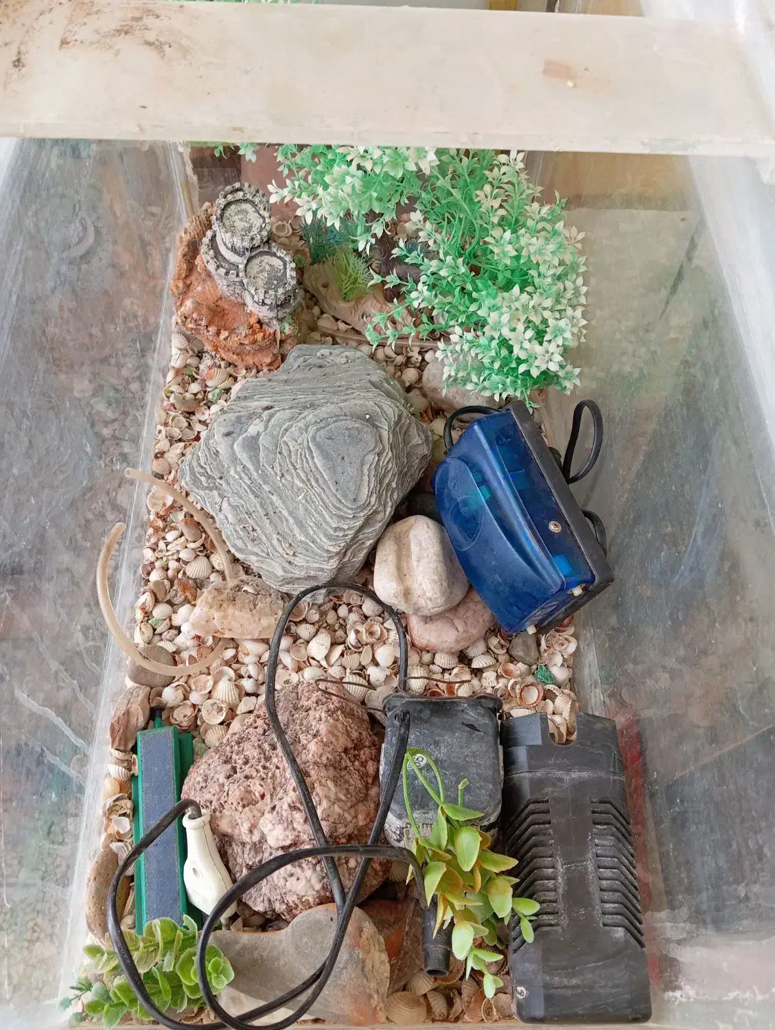 آکواریوم ماهی شیشهای|ماهی|گلبهار, شهر جدید گلبهار|دیوار