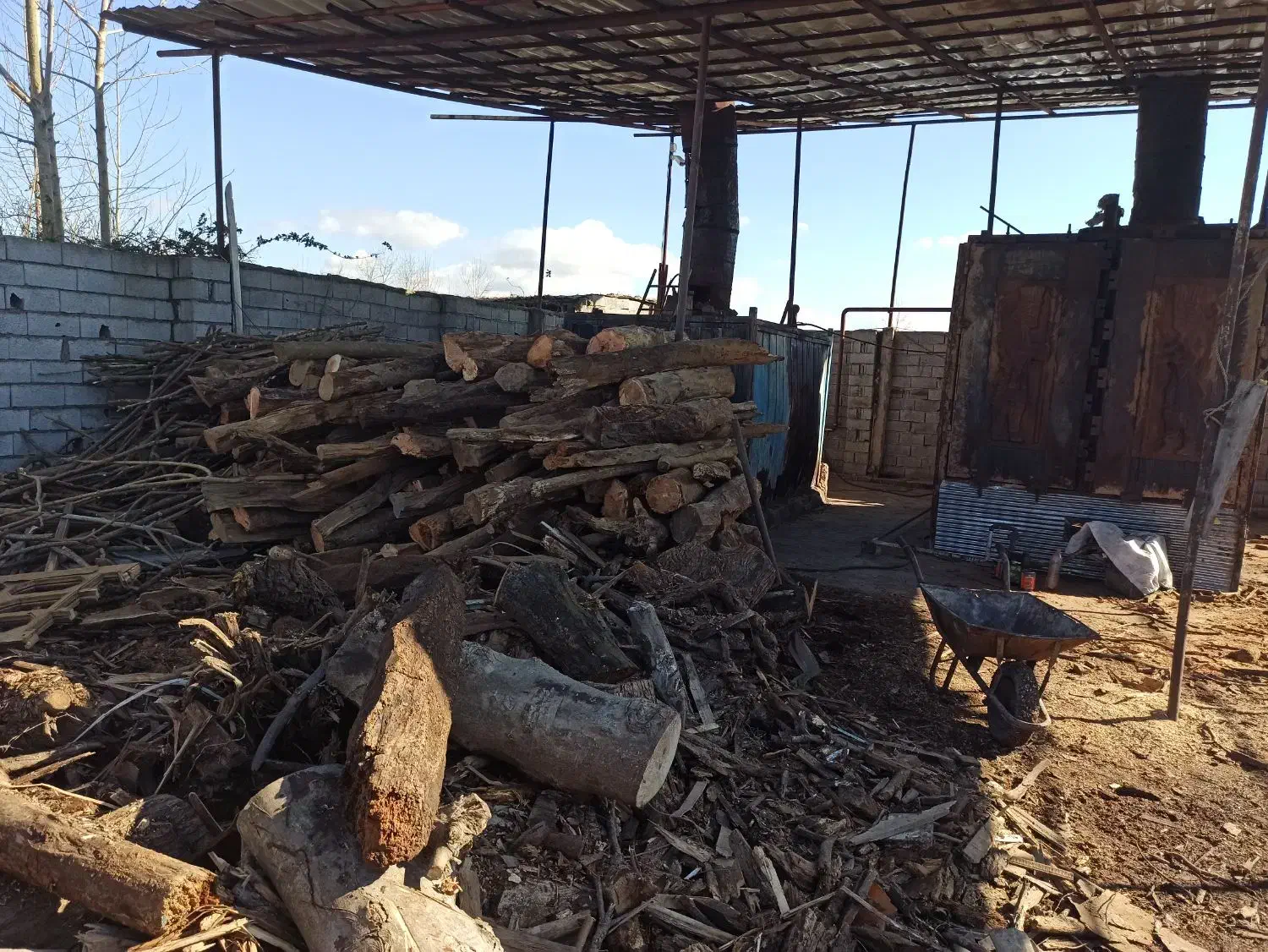 چوب وهیزم ساختمانی زغالی|خدمات باغبانی و درختکاری|لنگرود, |دیوار