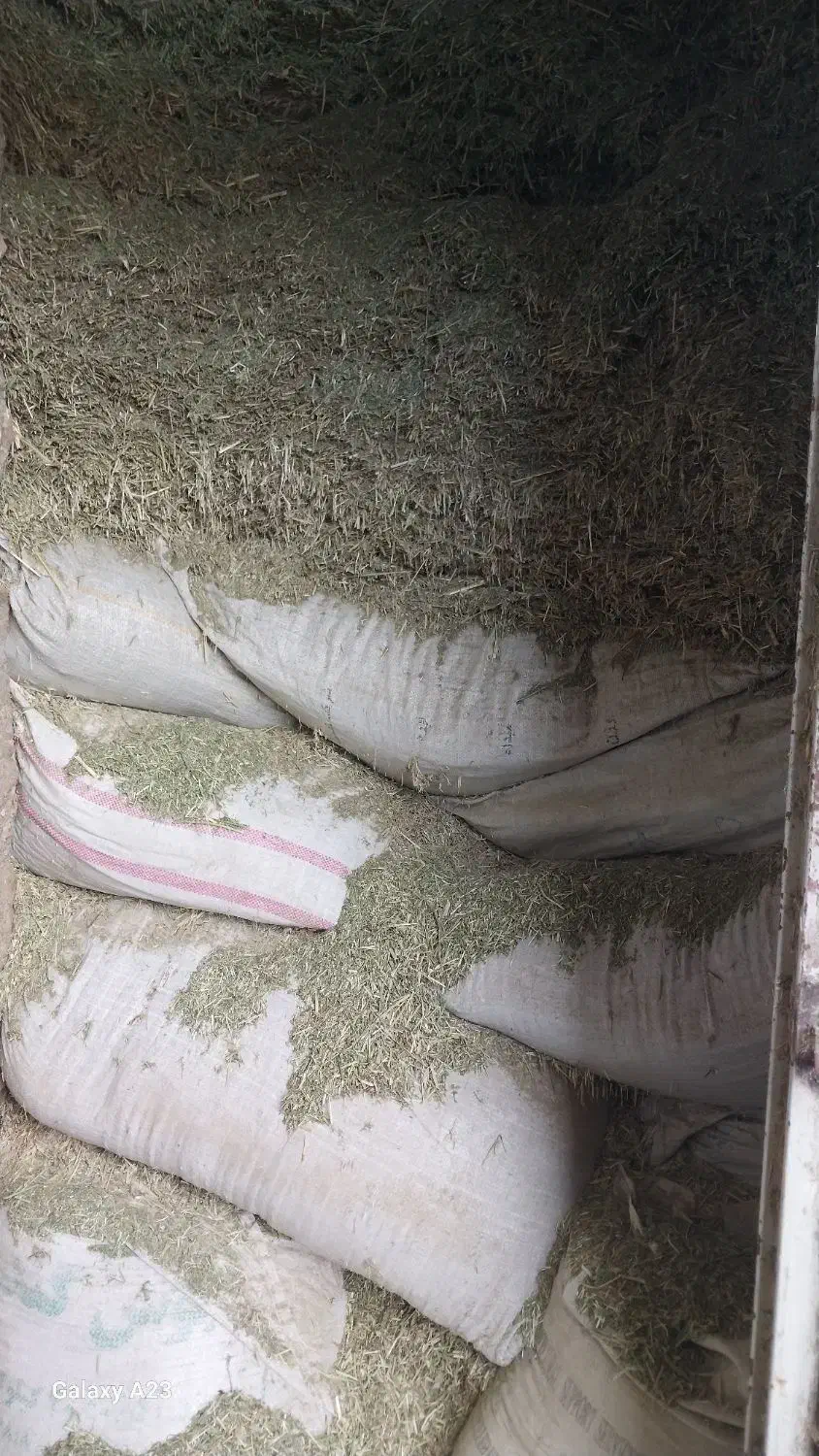 کاه|لوازم جانبی حیوانات|خرم‌آباد, |دیوار