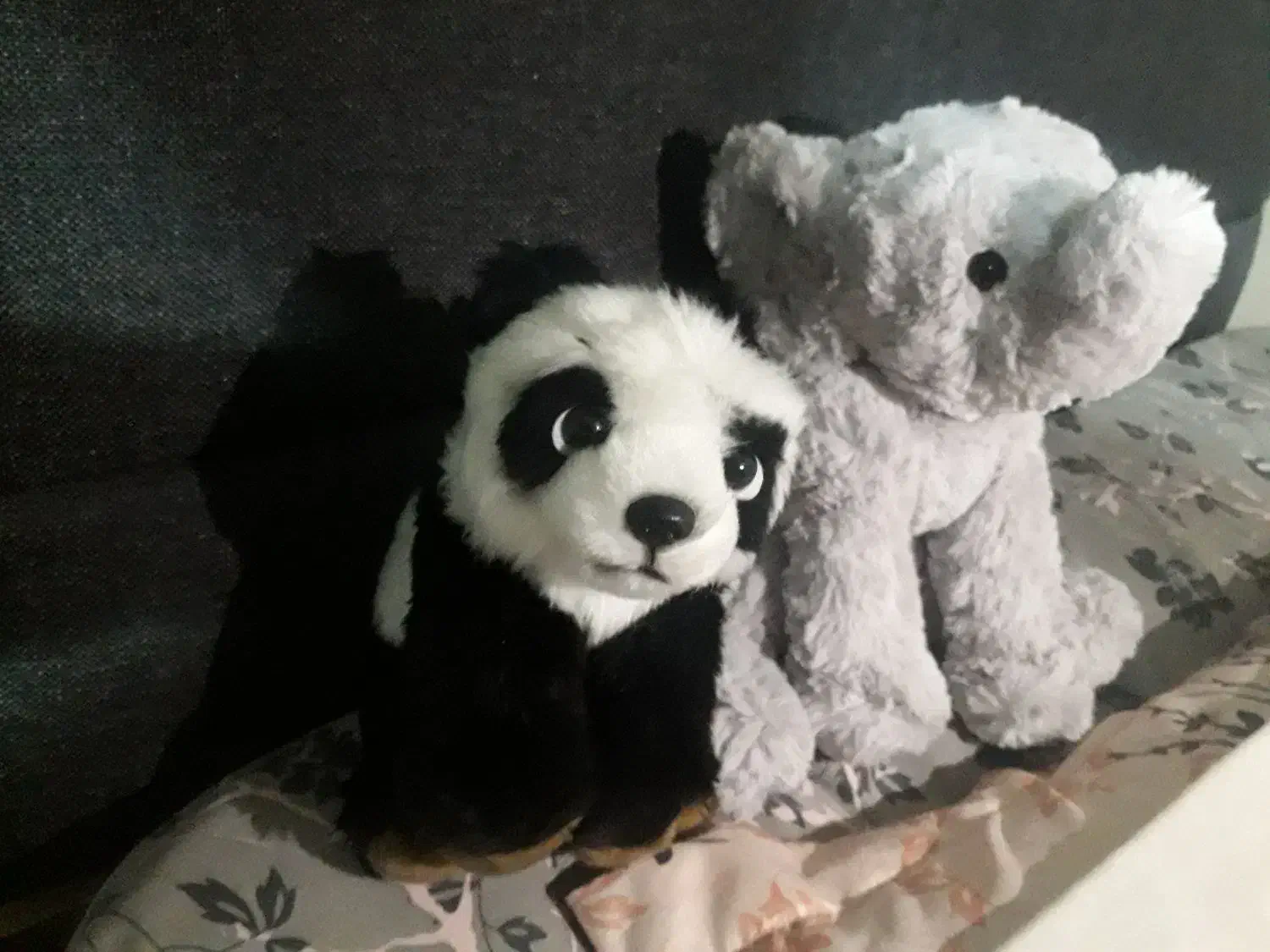 دوتا عروسک سالم هردو با هم ۵۵۰|اسباب‌بازی بچه|اصفهان, سپاهان‌شهر|دیوار