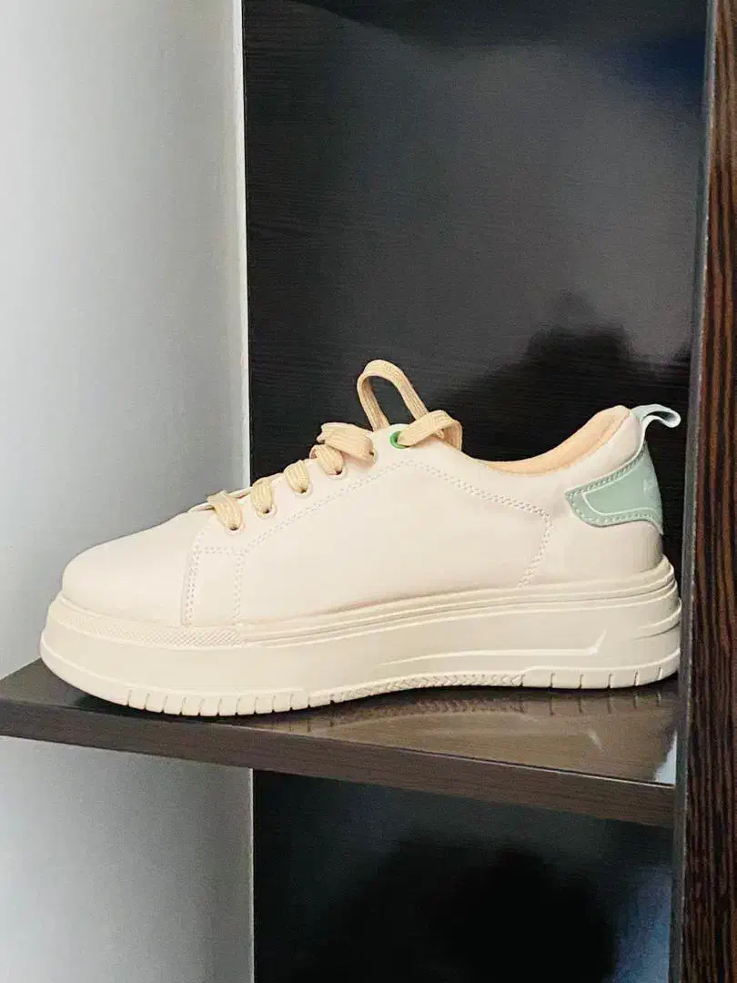 بوت|کیف، کفش، کمربند|فسا, |دیوار