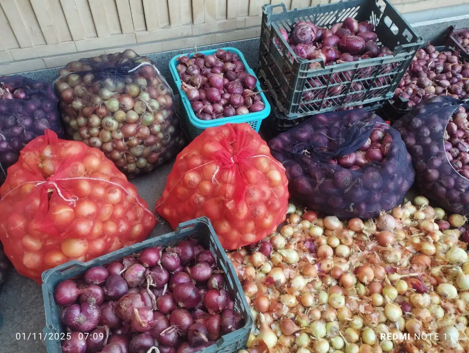 پیاز ترشی ومصرفی|خوردنی و آشامیدنی|بناب, |دیوار