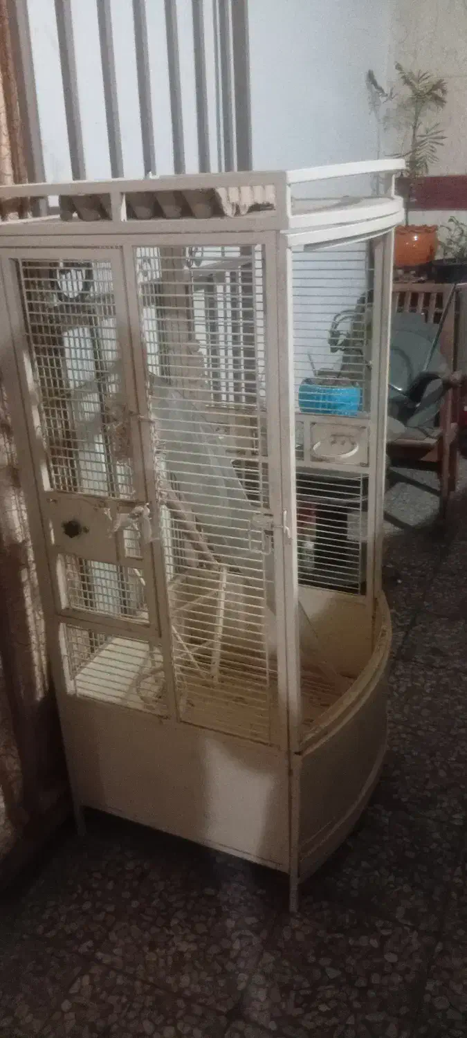 قفس طوطی بزرگ|لوازم جانبی حیوانات|تهران, سازمان برنامه جنوبی|دیوار