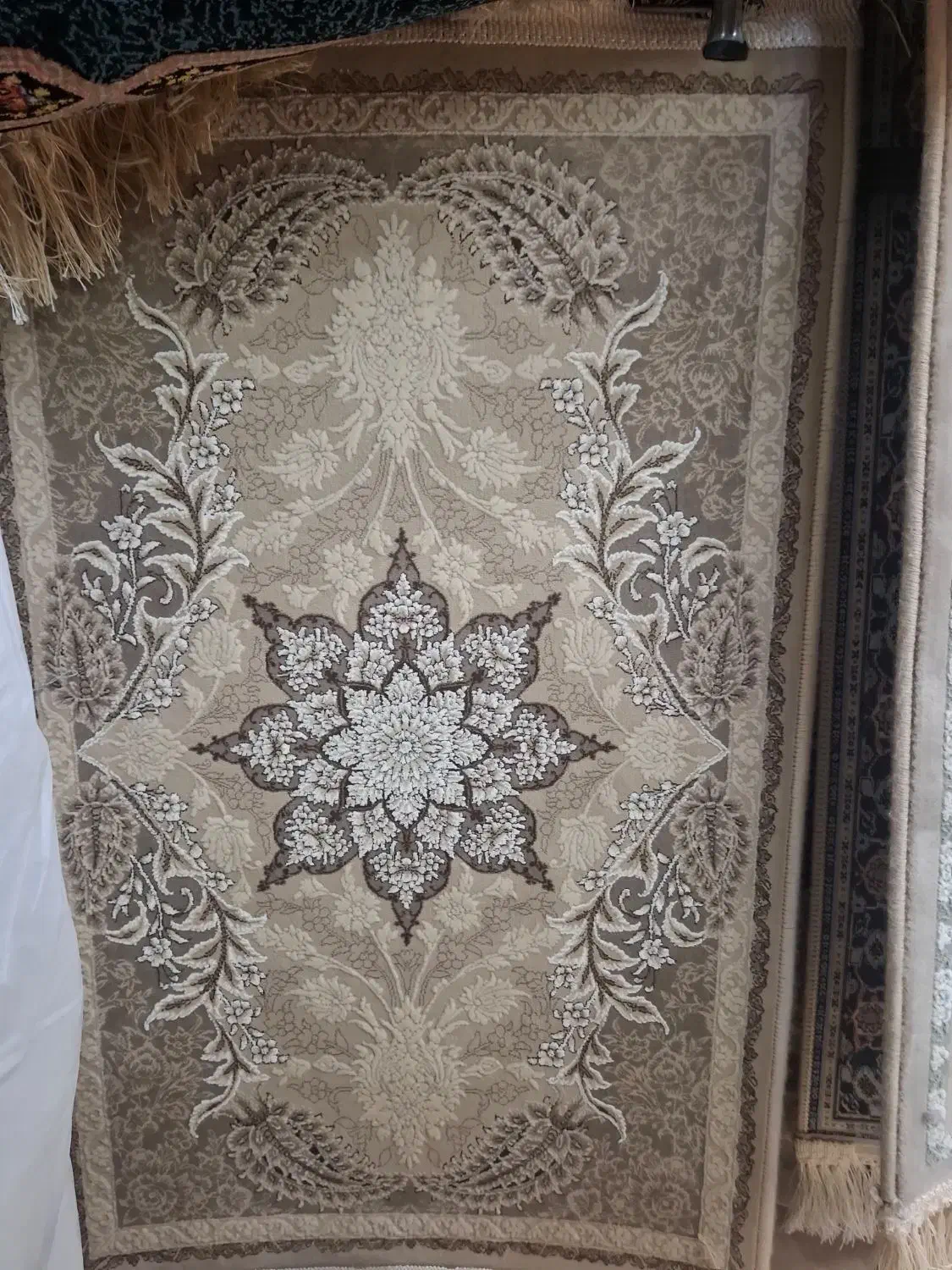 پادری فرش بافت ۷۰۰ و ۱۲۰۰ شانه|پادری|بهبهان, |دیوار