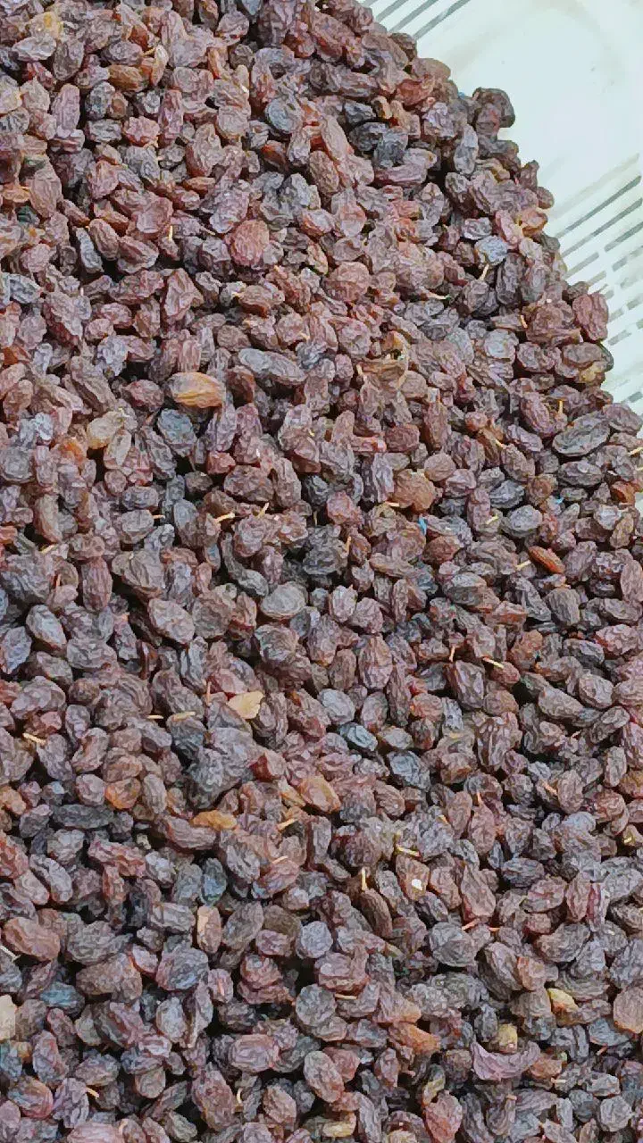 کشمش افتابی و تیزابی و مخصوص آبگیری|خوردنی و آشامیدنی|رودسر, |دیوار