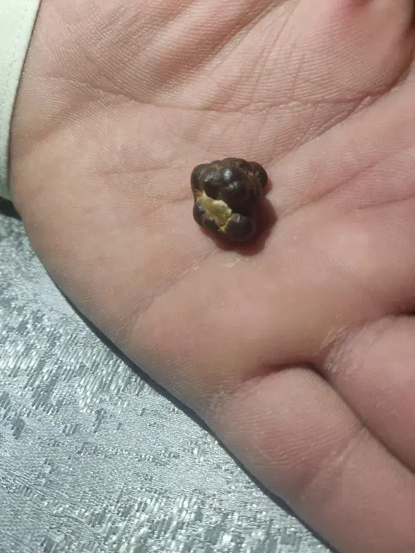 شهاب سنگ خاص|کلکسیون اشیاء عتیقه|شیراز, شاهجیان|دیوار