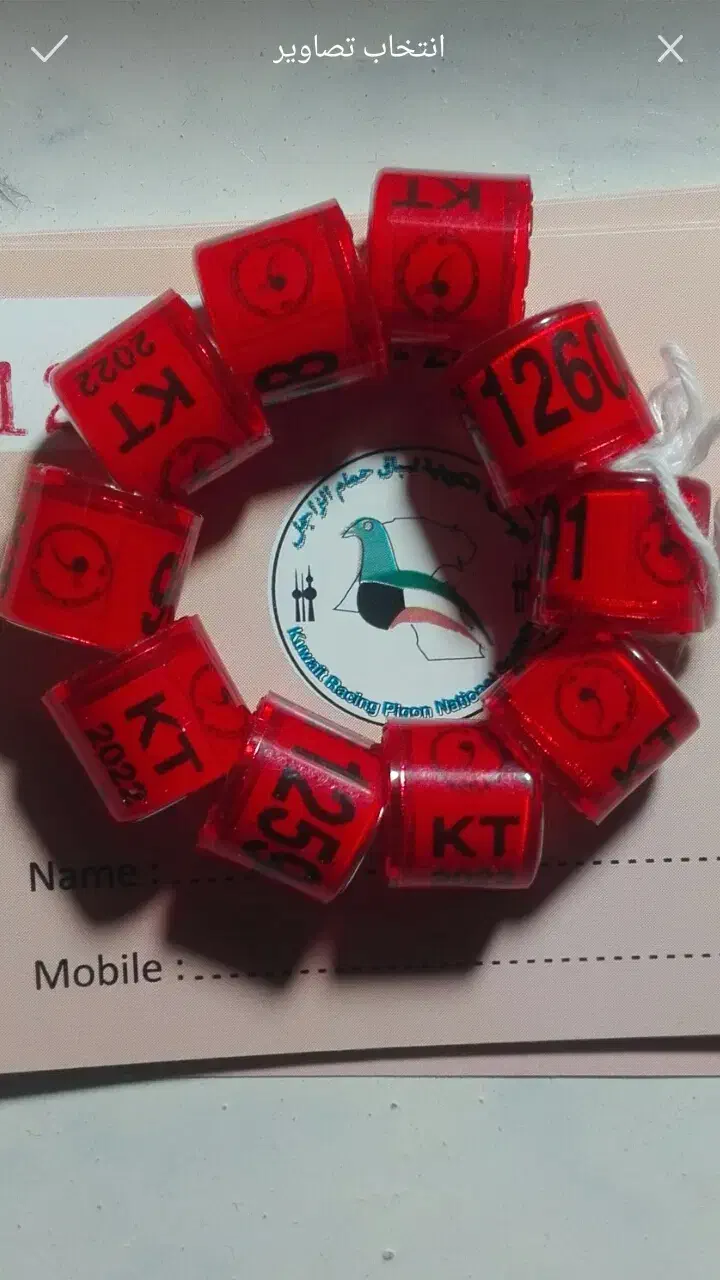 فروشی سالم بشرط|اسباببازی بچه|برازجان, |دیوار