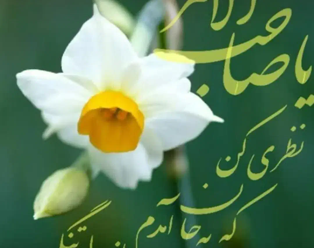 نیروی انبار|استخدام خدمات فروشگاه و رستوران|قم, آرامستان بهشت معصومه|دیوار