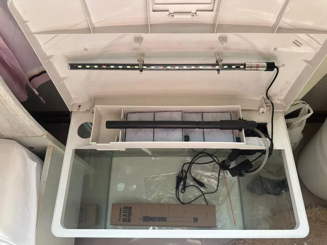 اکواریوم ماهیران|ماهی|تهران, جنت‌آباد مرکزی|دیوار