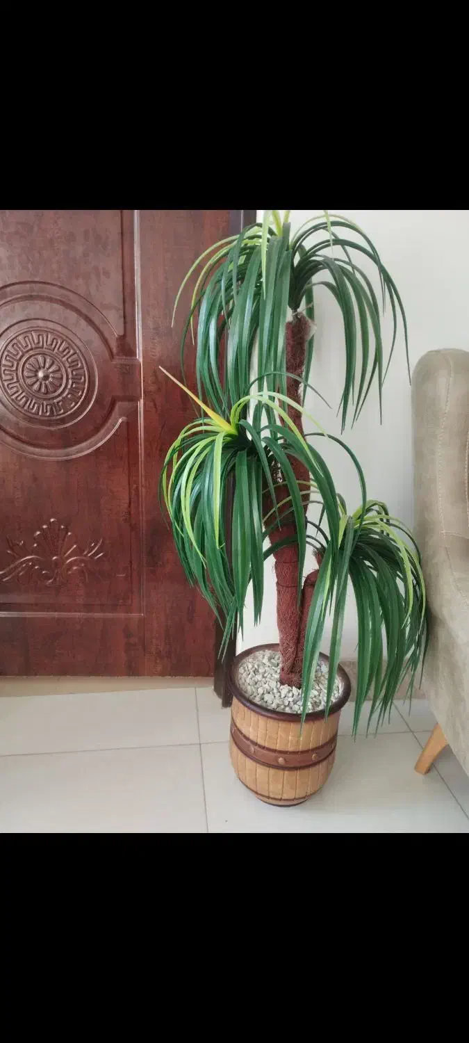 گل زیبای نخل|گل مصنوعی|فسا, |دیوار