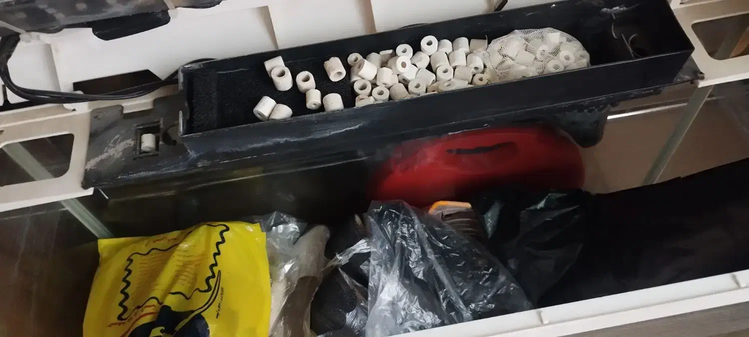 آکواریوم شیشه خم|ماهی|اسلام‌شهر, شهرک مهدیه|دیوار