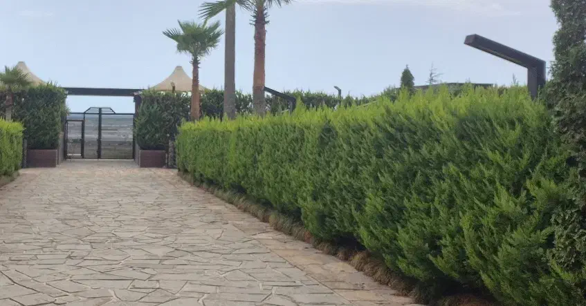 مشاوره و بازسازی ملک شما|خدمات پیشه و مهارت|رشت, منظریه|دیوار