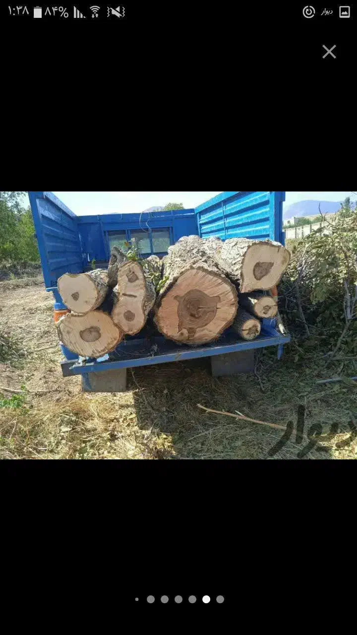 خدمات باغبانی.خرید چوب.چالکود.سم پاشی.تیلر|خدمات باغبانی و درختکاری|کرمانشاه, |دیوار