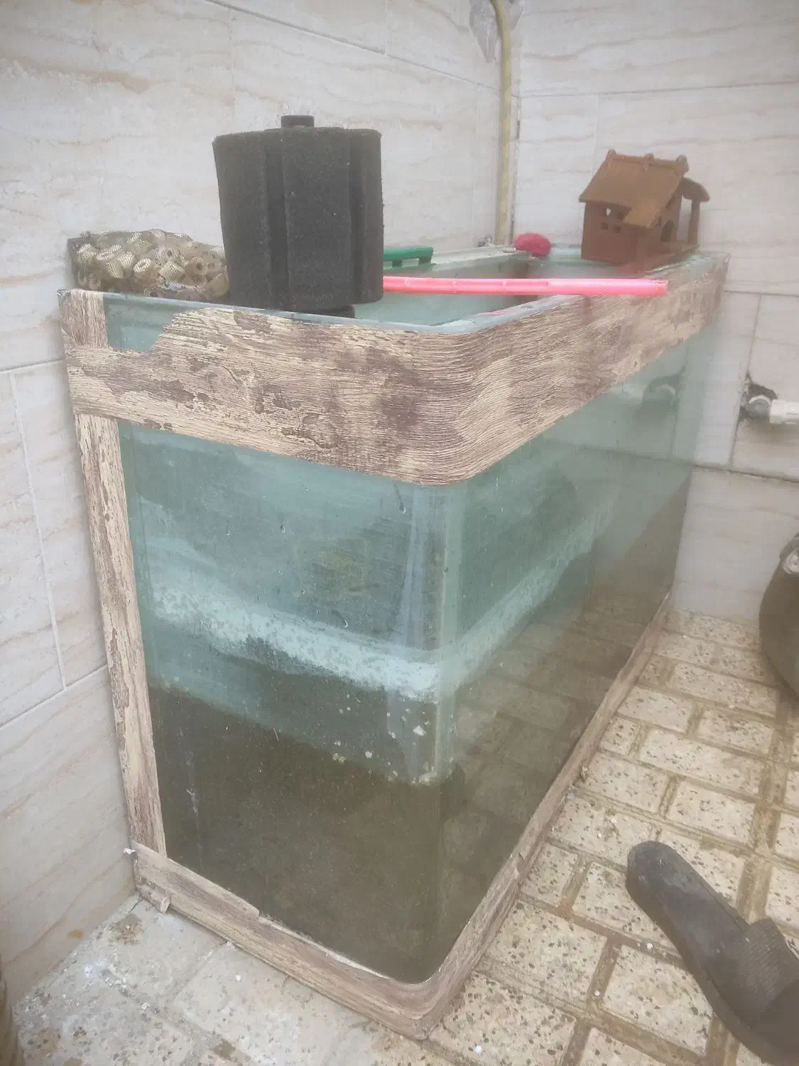 آکواریوم سکوریت|ماهی|مشهد, ابوذر|دیوار