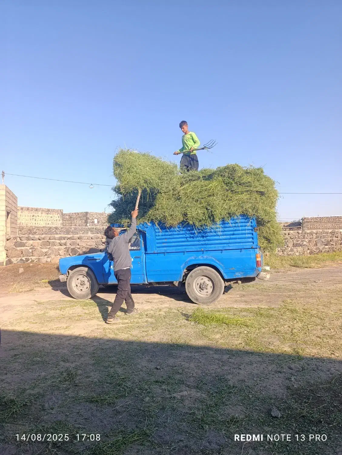 باربری|خدمات حمل و نقل|شوط, |دیوار