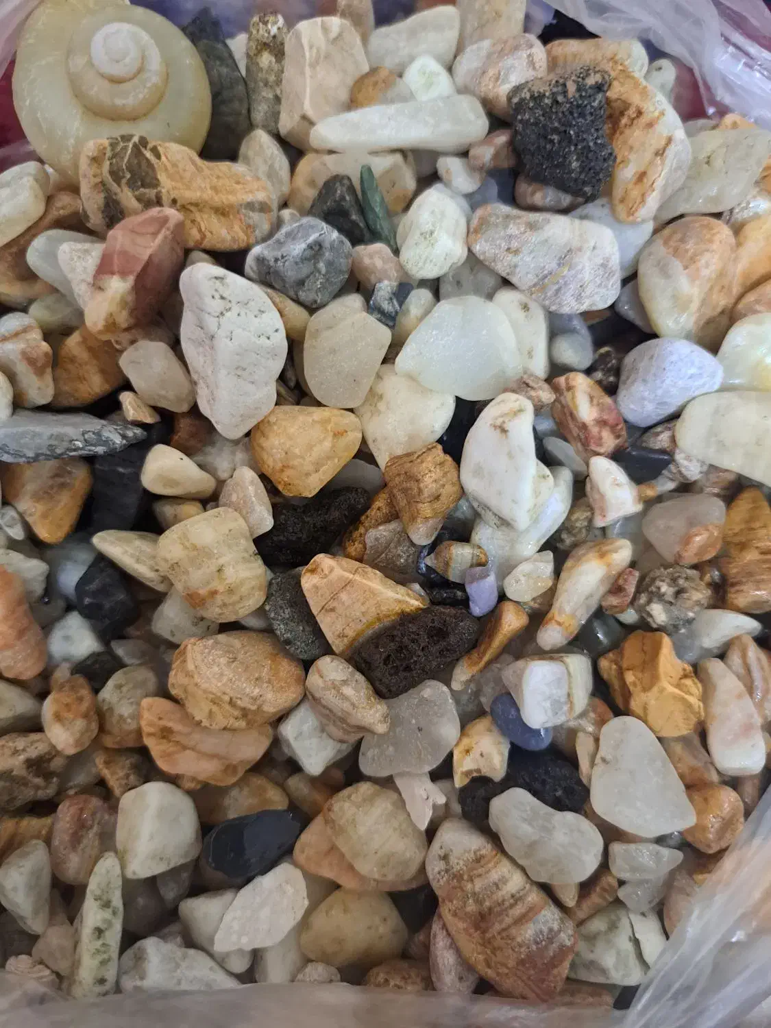 سنگ ماهی|ماهی|اصفهان, مسجد مصلی|دیوار