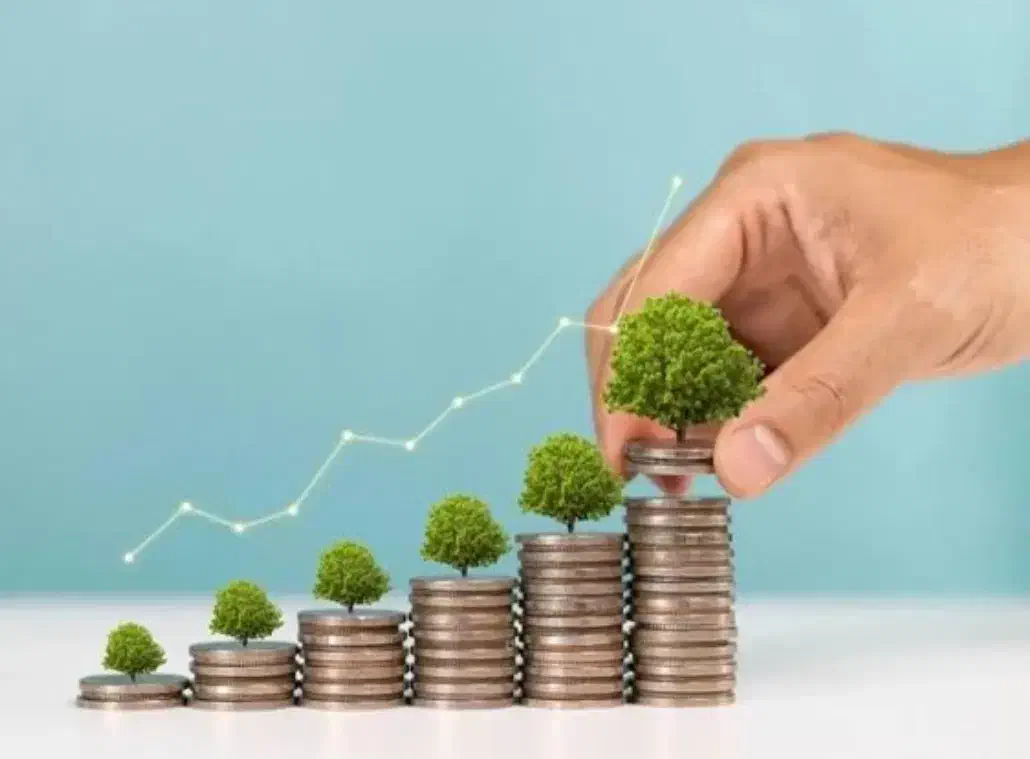 پرداخت نقدی سرمایه|خدمات مالی، حسابداری، بیمه|ساری, |دیوار