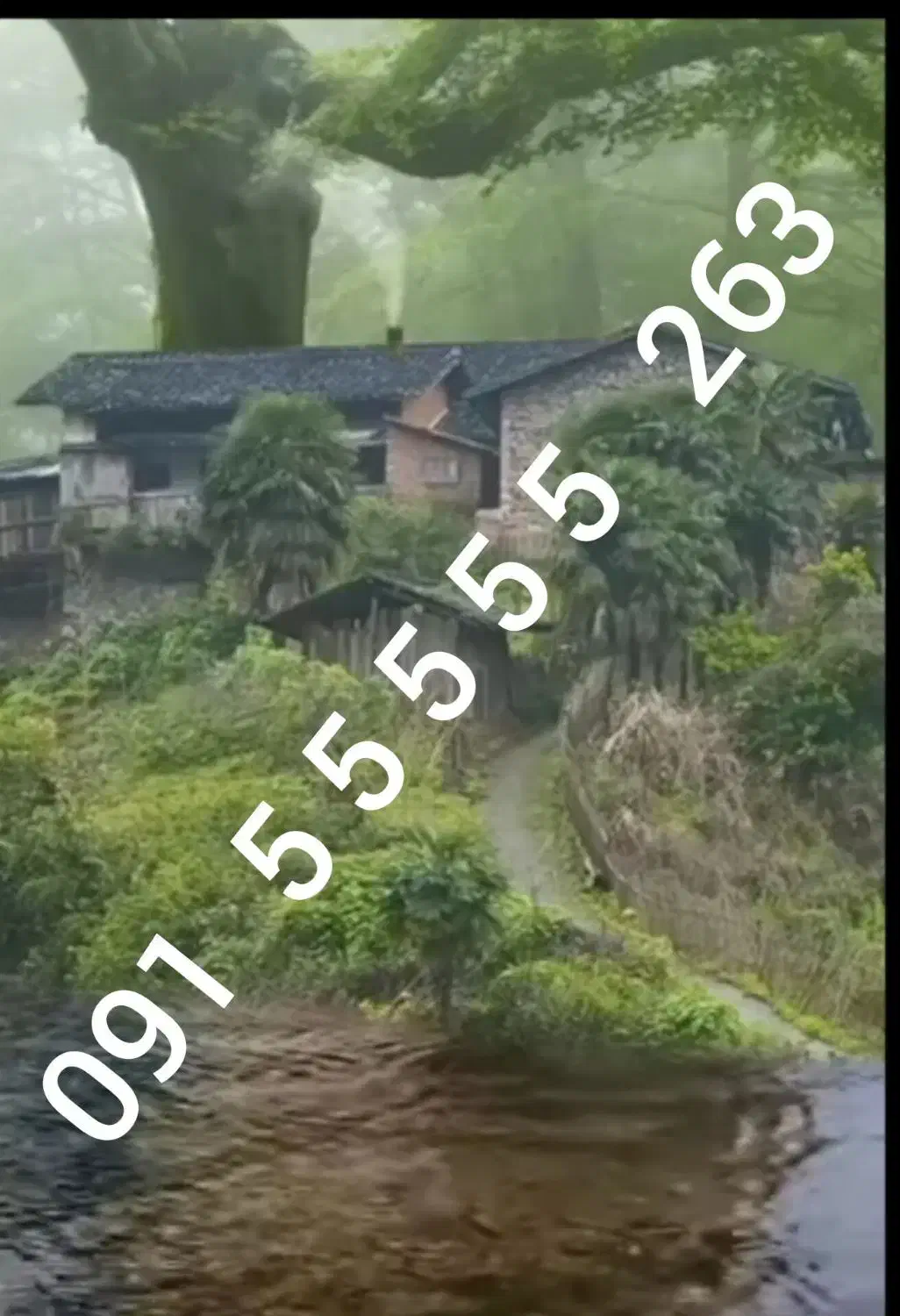 رندخشک 09155555263|سیمکارت|مشهد, راهنمایی|دیوار