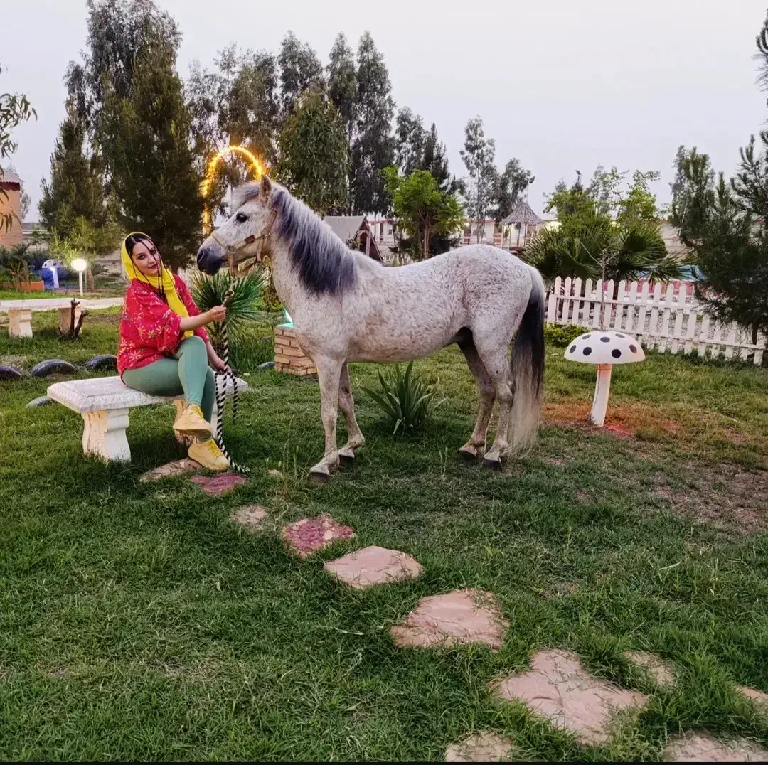 پونی دو رگ فلابلا کاسپین|اسب و تجهیزات اسب‌سواری|گنبد کاووس, |دیوار