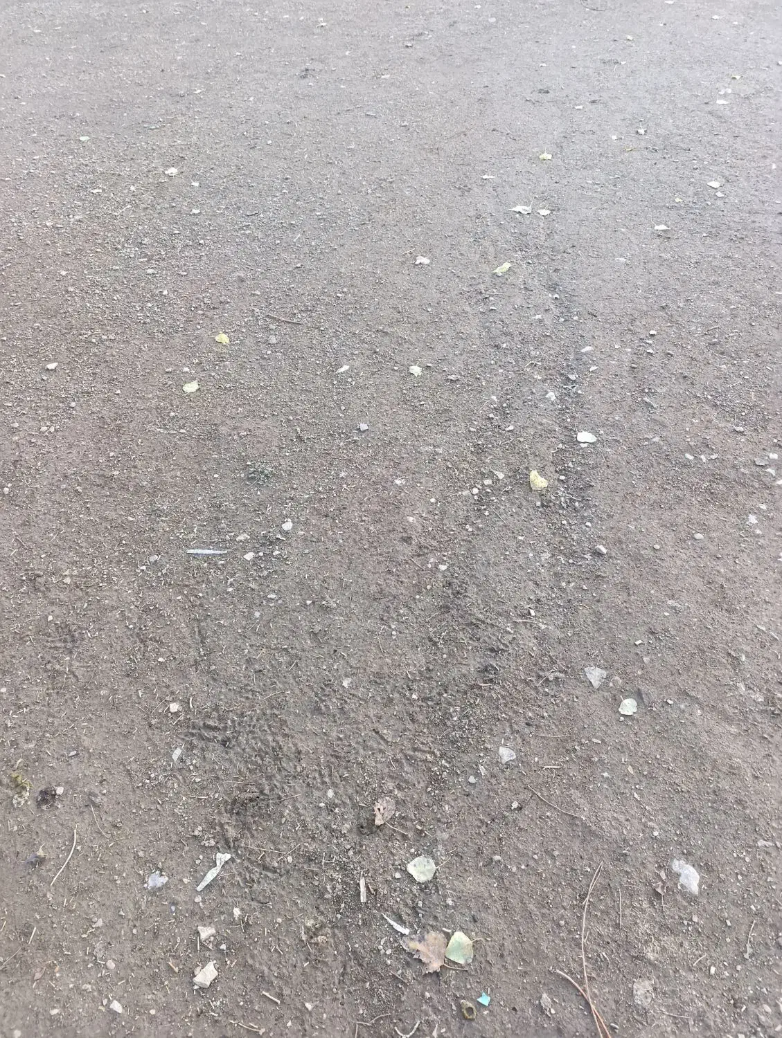 فروش زمین|فروش زمین و ملک کلنگی|شاهین دژ, |دیوار