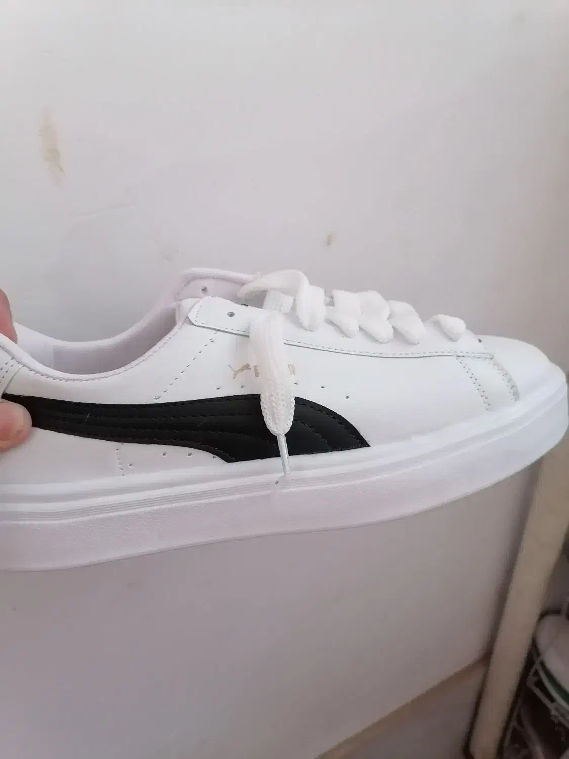 کفش فقط 550 تومن|کیف، کفش، کمربند|یزد, |دیوار