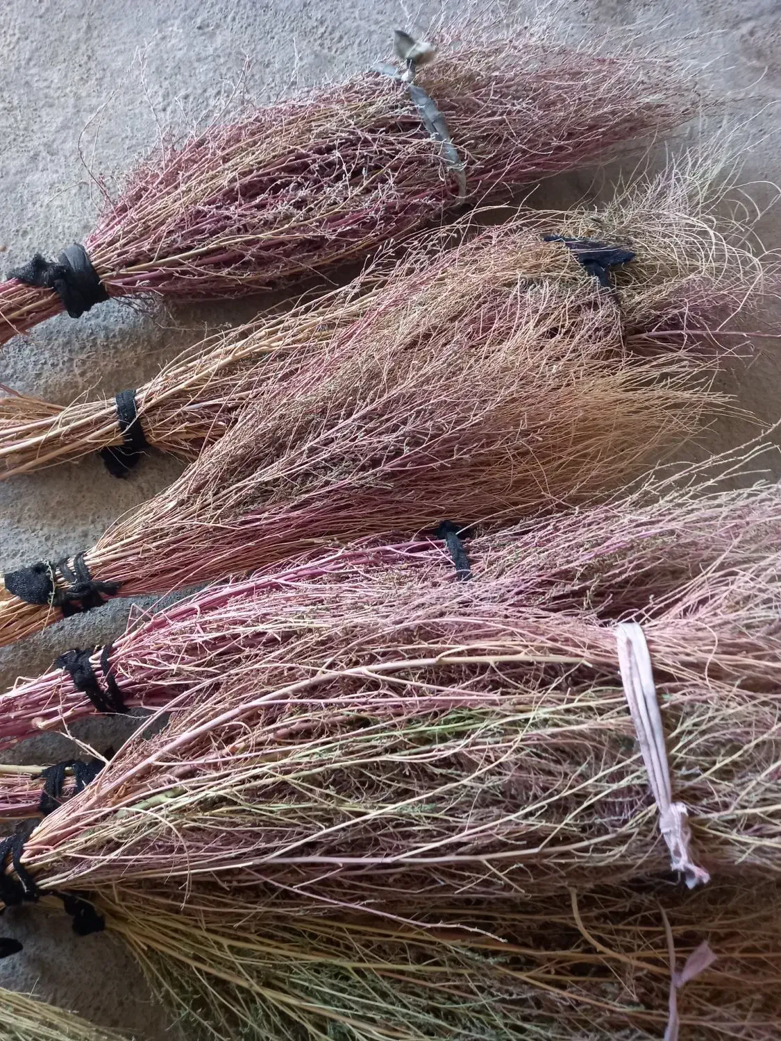 ۱۲ دسته جارو دسته ۵۰تومن روستایی کتوله ساری|لوازم نظافت|کوهدشت, |دیوار