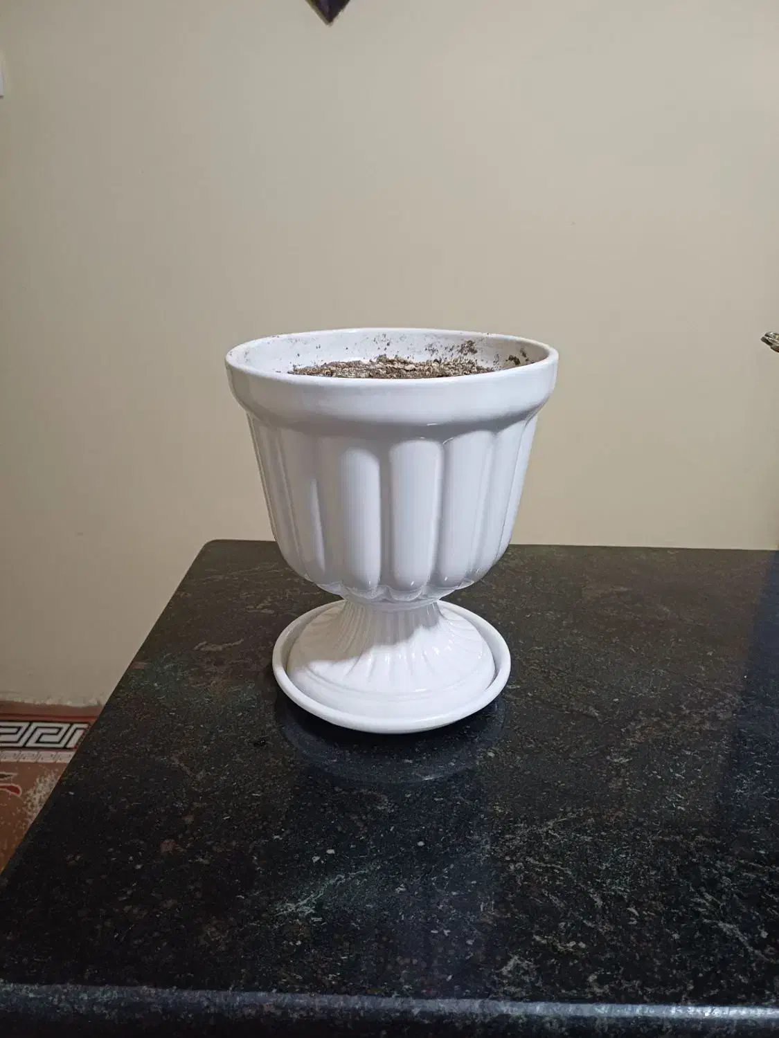 گل و گلدان|گل مصنوعی|کرمانشاه, |دیوار