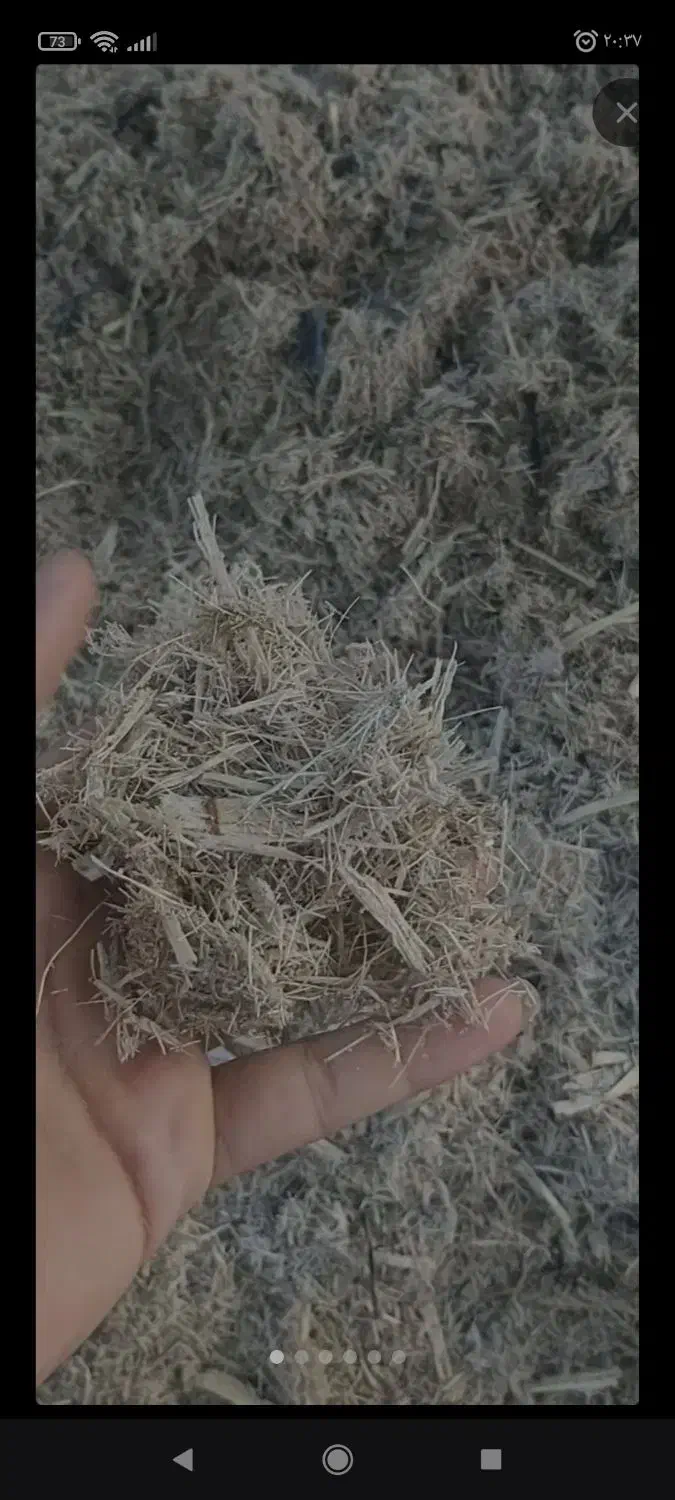 پرس کلش|حیوانات مزرعه|رباطکریم, رباطکریم|دیوار