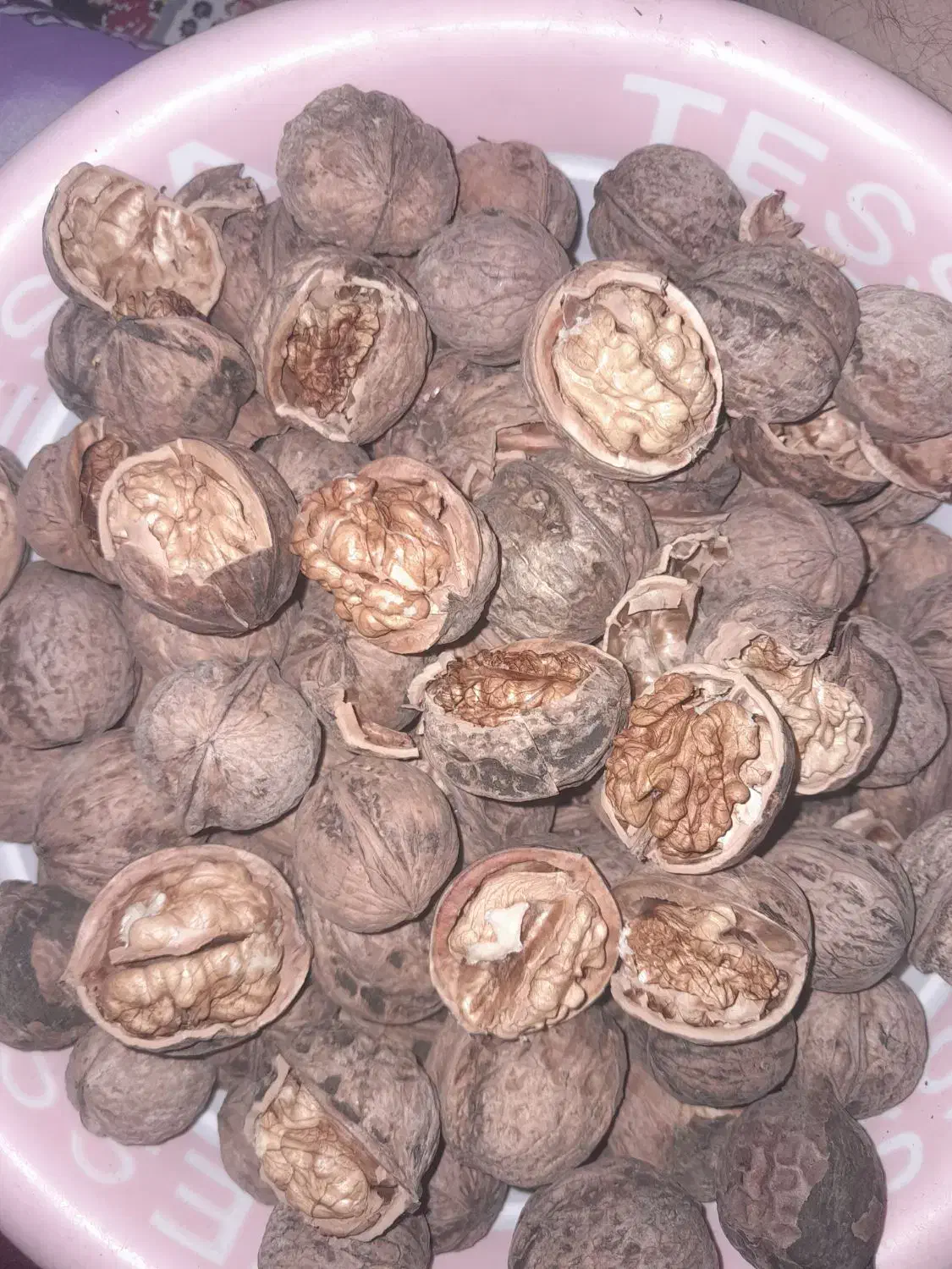 گردوی خوشممزه باکیفیت بقیع|خوردنی و آشامیدنی|نیشابور, سرآب کوشک|دیوار