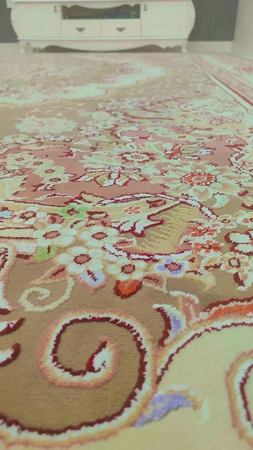 فرش 12متری|فرش|بندرعباس, |دیوار