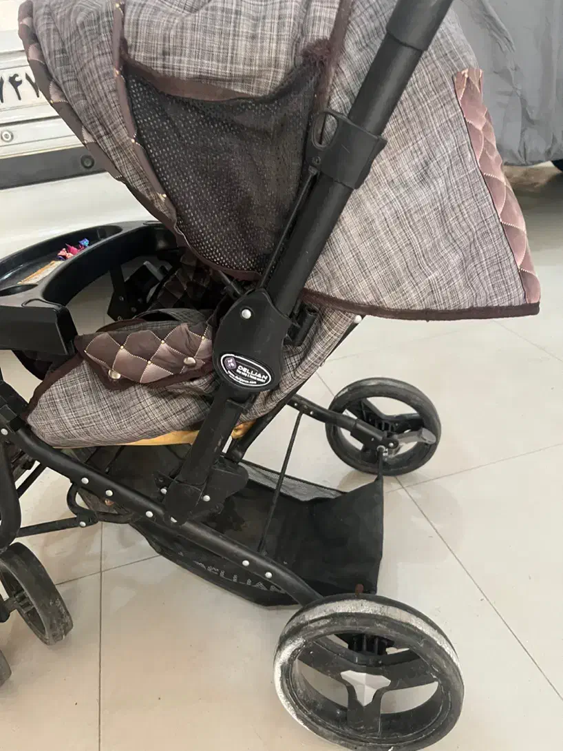 کالسکه دلیجان|کالسکه و لوازم جانبی|اردبیل, |دیوار