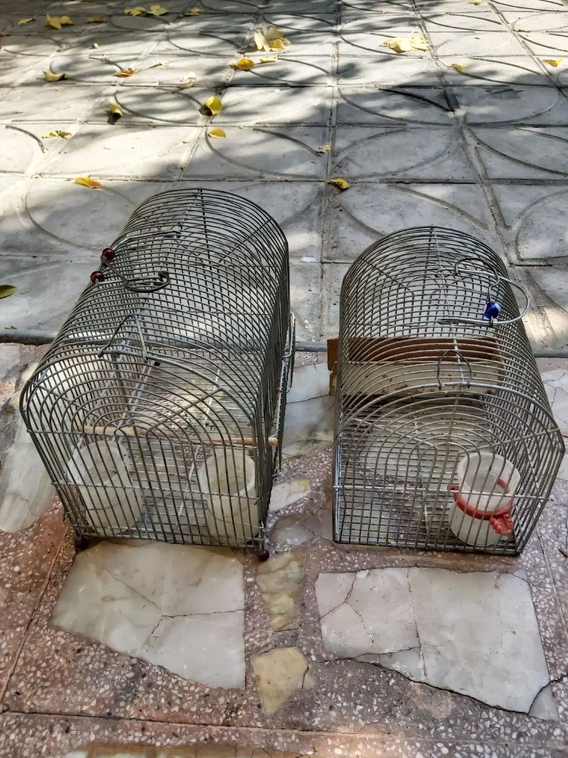 قفس|لوازم جانبی حیوانات|شیراز, پودنک|دیوار