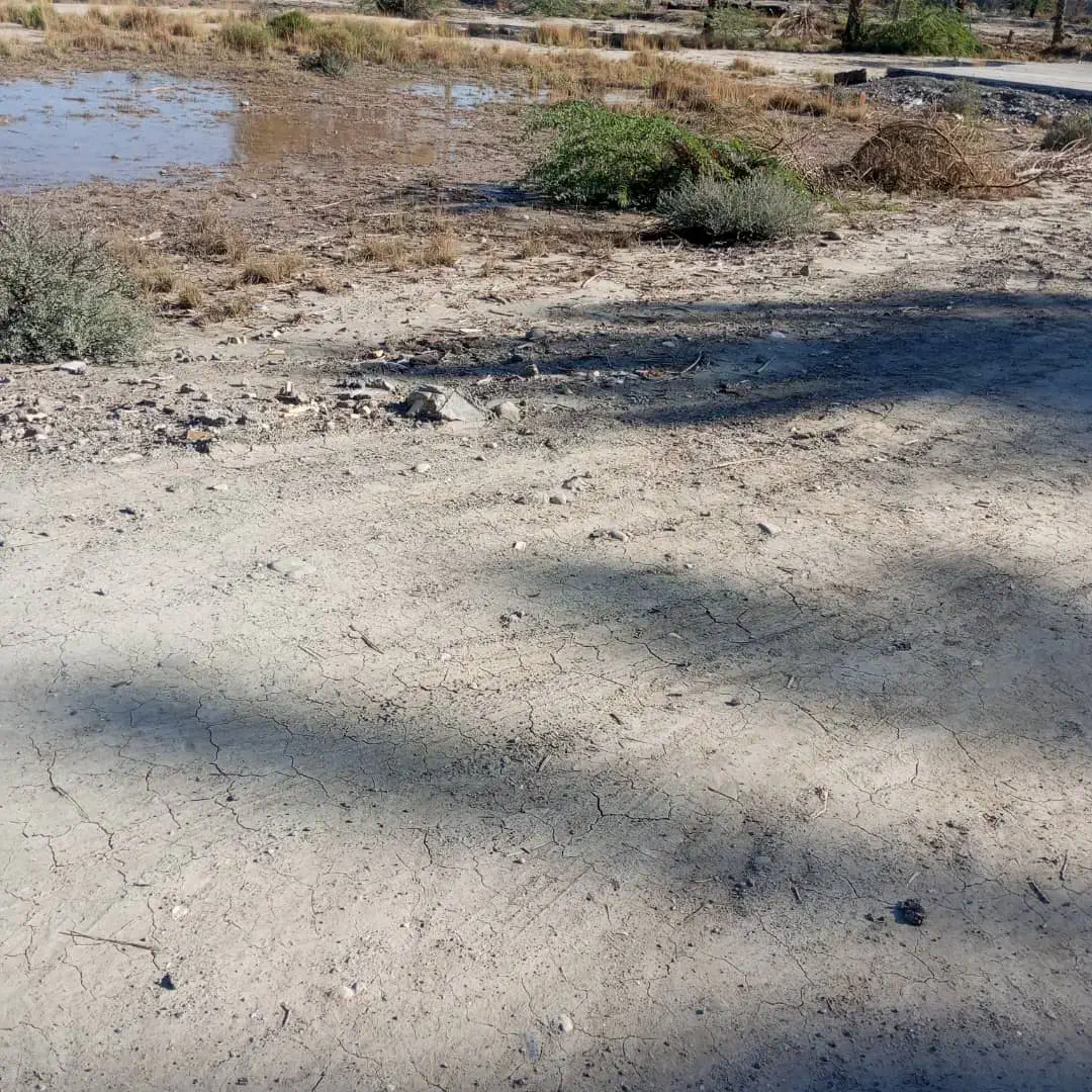 زمین کلنگی|فروش زمین و ملک کلنگی|میناب, |دیوار