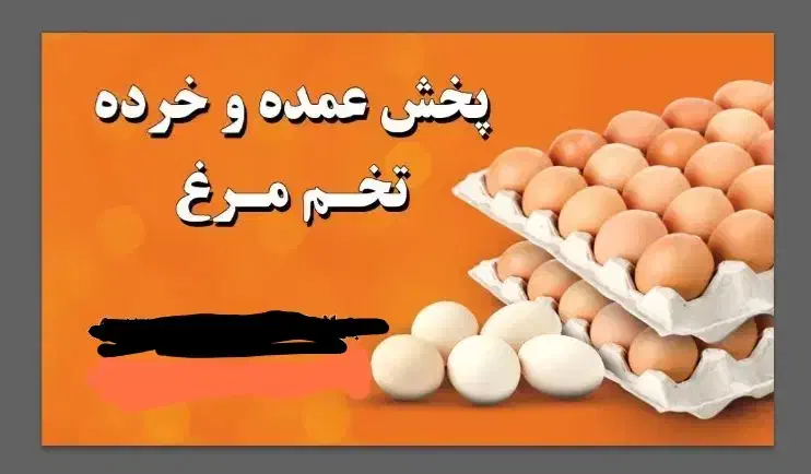 پخش عمده تخم مرغ فارس|خوردنی و آشامیدنی|شیراز, فخرآباد (دروازه کازرون)|دیوار