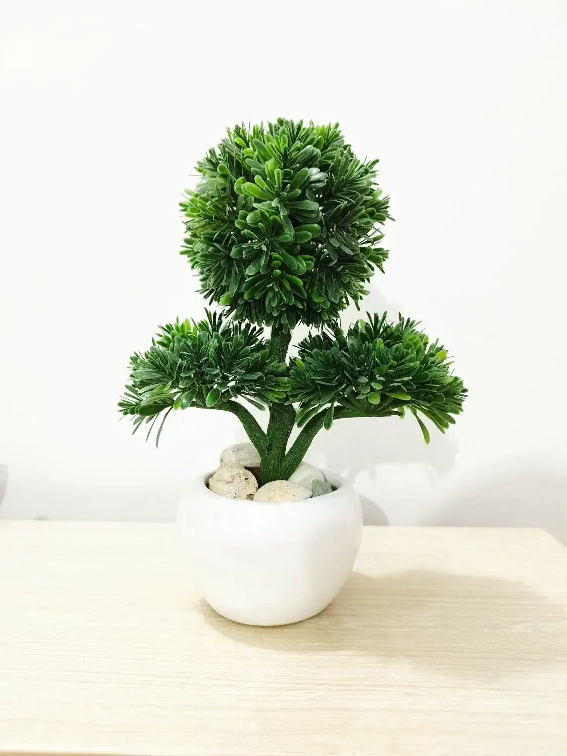 گل و گلدان|گل مصنوعی|جهرم, |دیوار