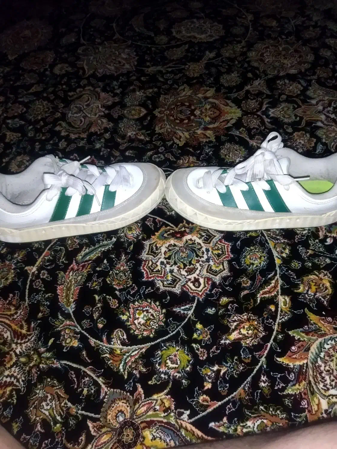 کفش ساکو|کیف، کفش، کمربند|قم, ولیعصر|دیوار