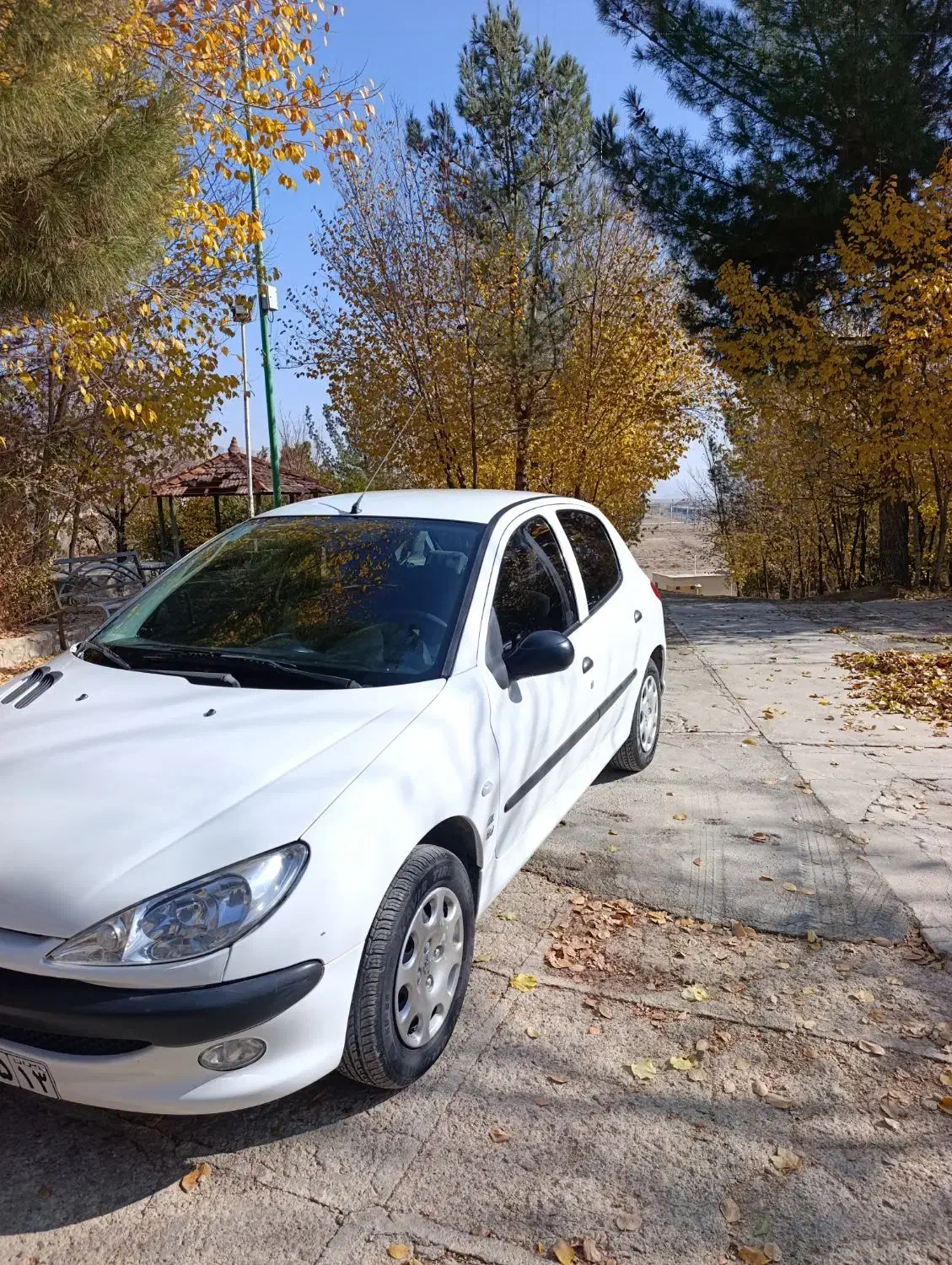 206|خودرو سواری و وانت|برخوار, |دیوار