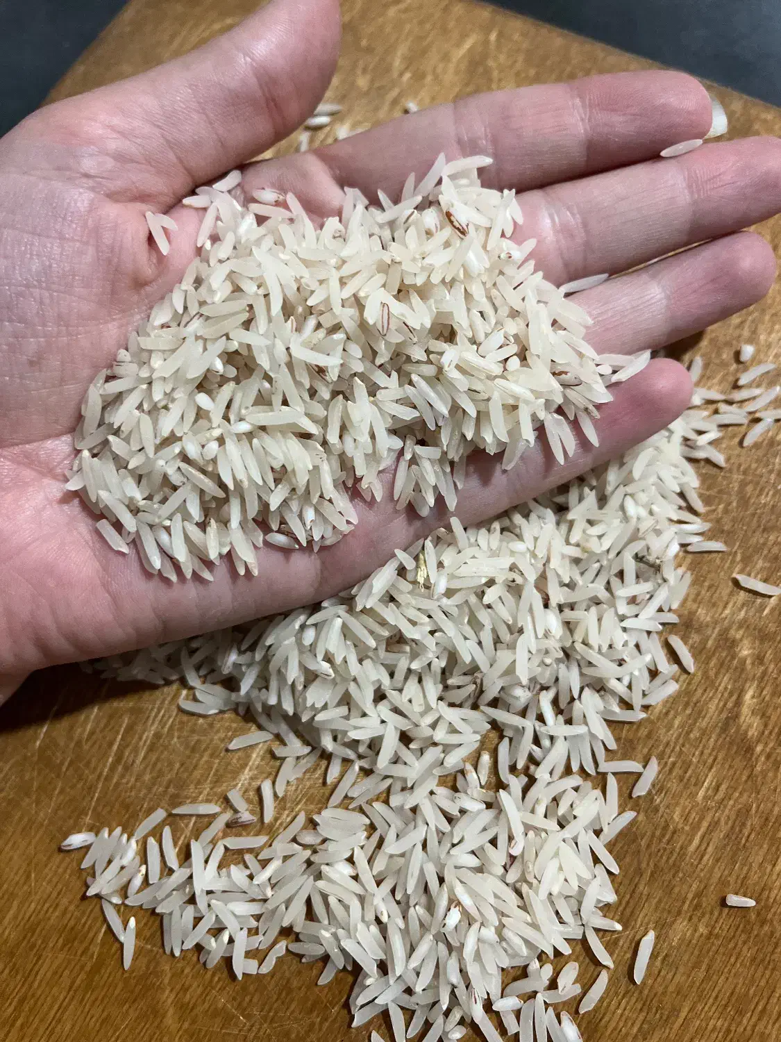 برنج فجر سوزنی|خوردنی و آشامیدنی|گرگان, |دیوار