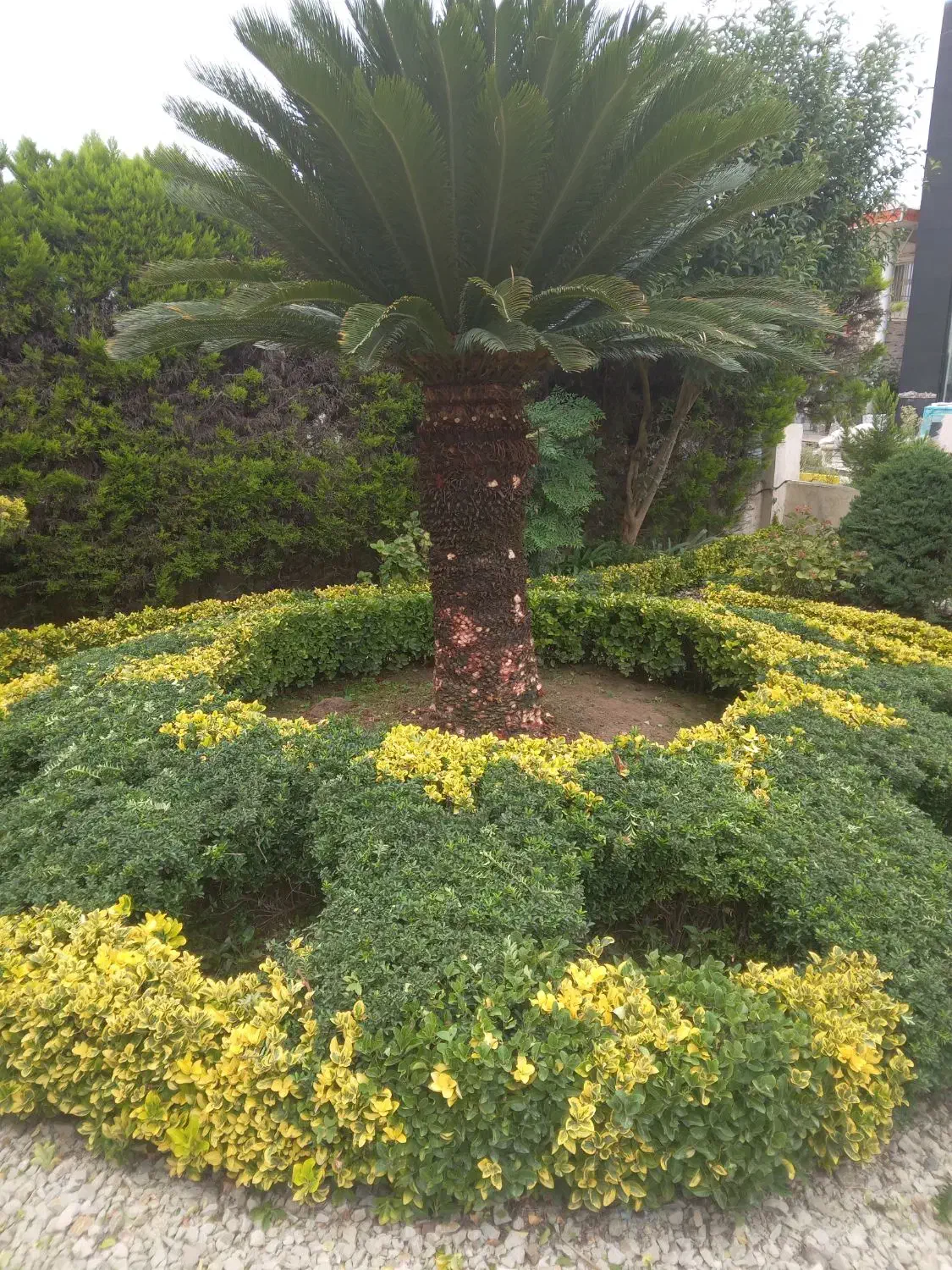 باغبانی و نگهداری فضای سبز|خدمات باغبانی و درختکاری|عباسآباد, |دیوار