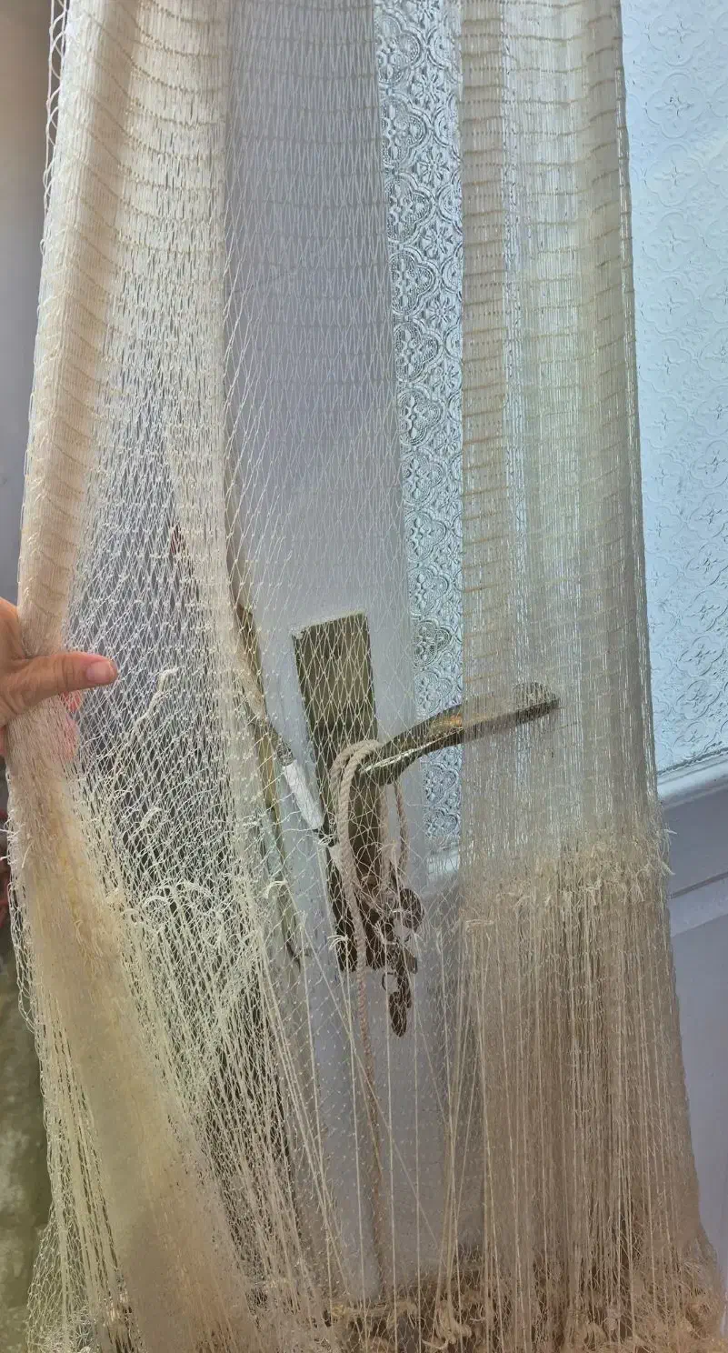 ماشک|ماهیگیری|بندر انزلی, متروپل|دیوار