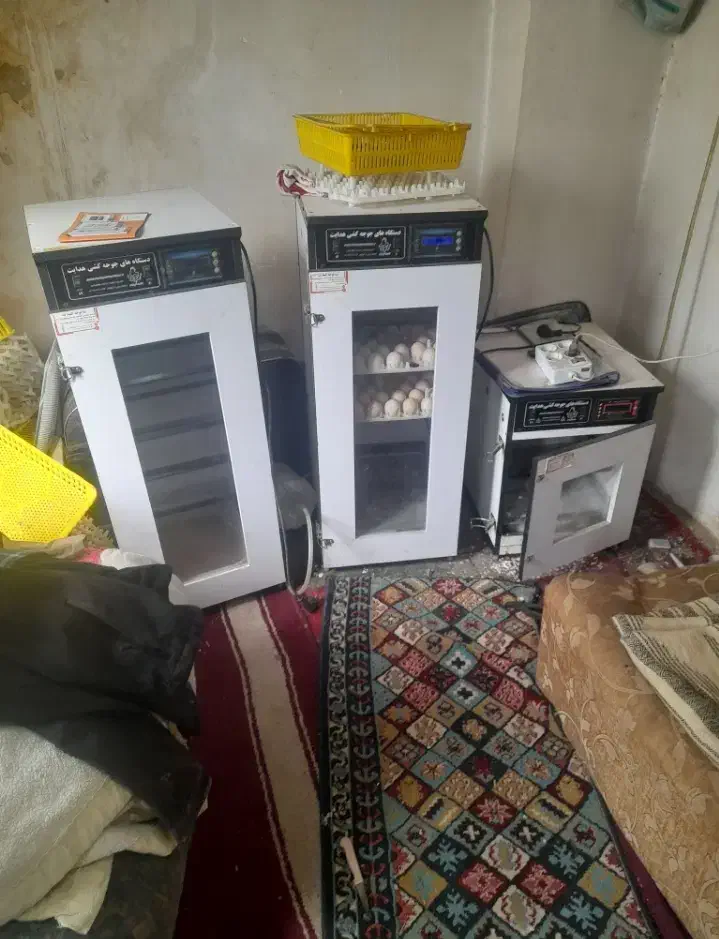 ۳عدستگاه جوجه کشی هدایت|ماشین‌آلات صنعتی|میاندوآب, |دیوار