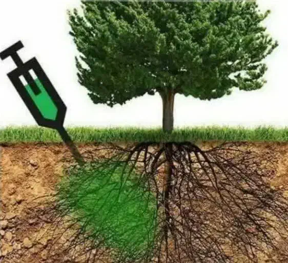 خدمات کشاورزی و باغبانی وگیاهان خانگی|خدمات باغبانی و درختکاری|کاشان, مدرس|دیوار