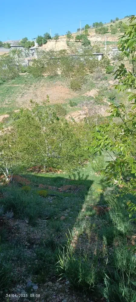 فروش باغ در سپیدان|فروش زمین و ملک کلنگی|سپیدان, |دیوار