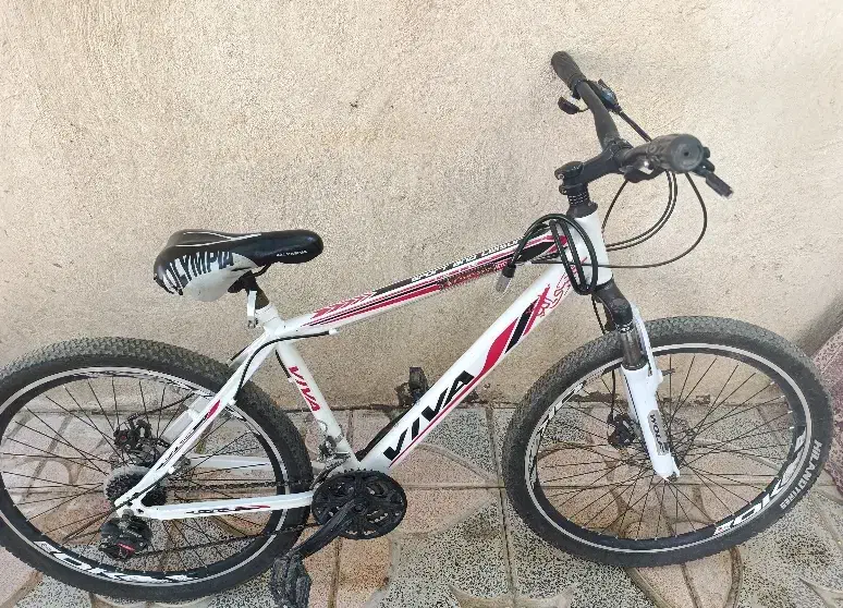 دوچرخه 26|دوچرخه، اسکیت، اسکوتر|بهار, |دیوار