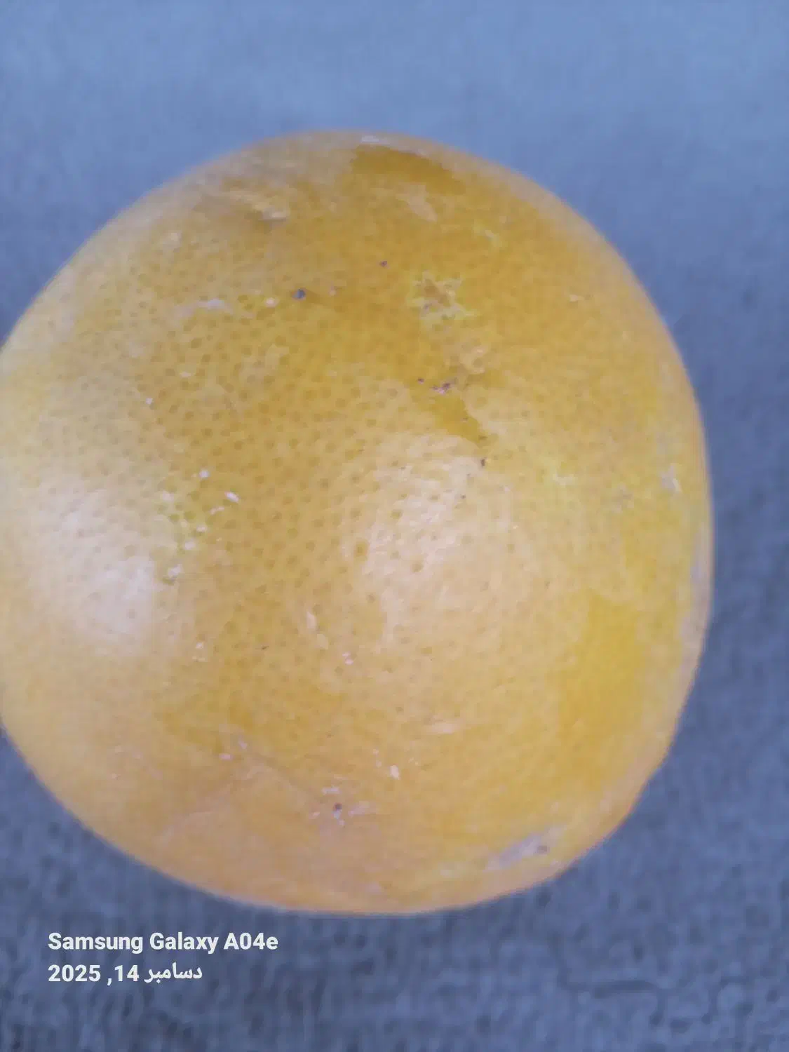 نارنگی درشت پژ|خوردنی و آشامیدنی|رحیم‌آباد, |دیوار