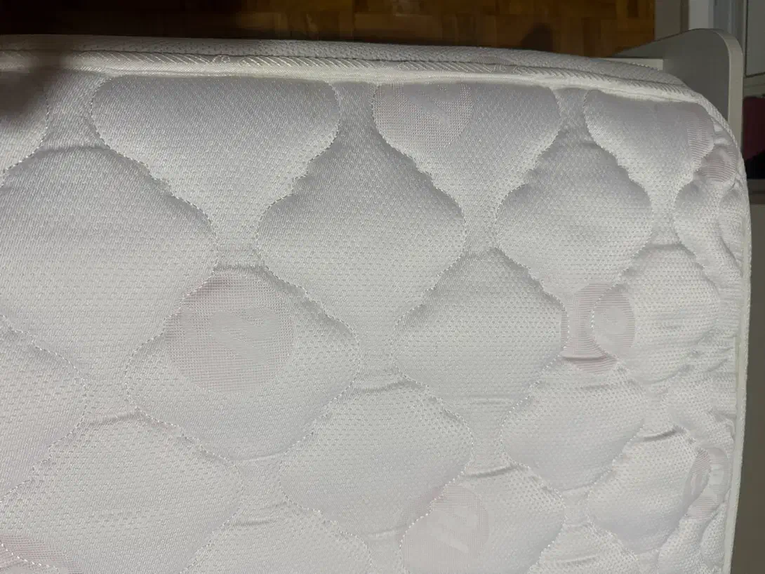 تشک|تشک تختخواب|تهران, بهار|دیوار