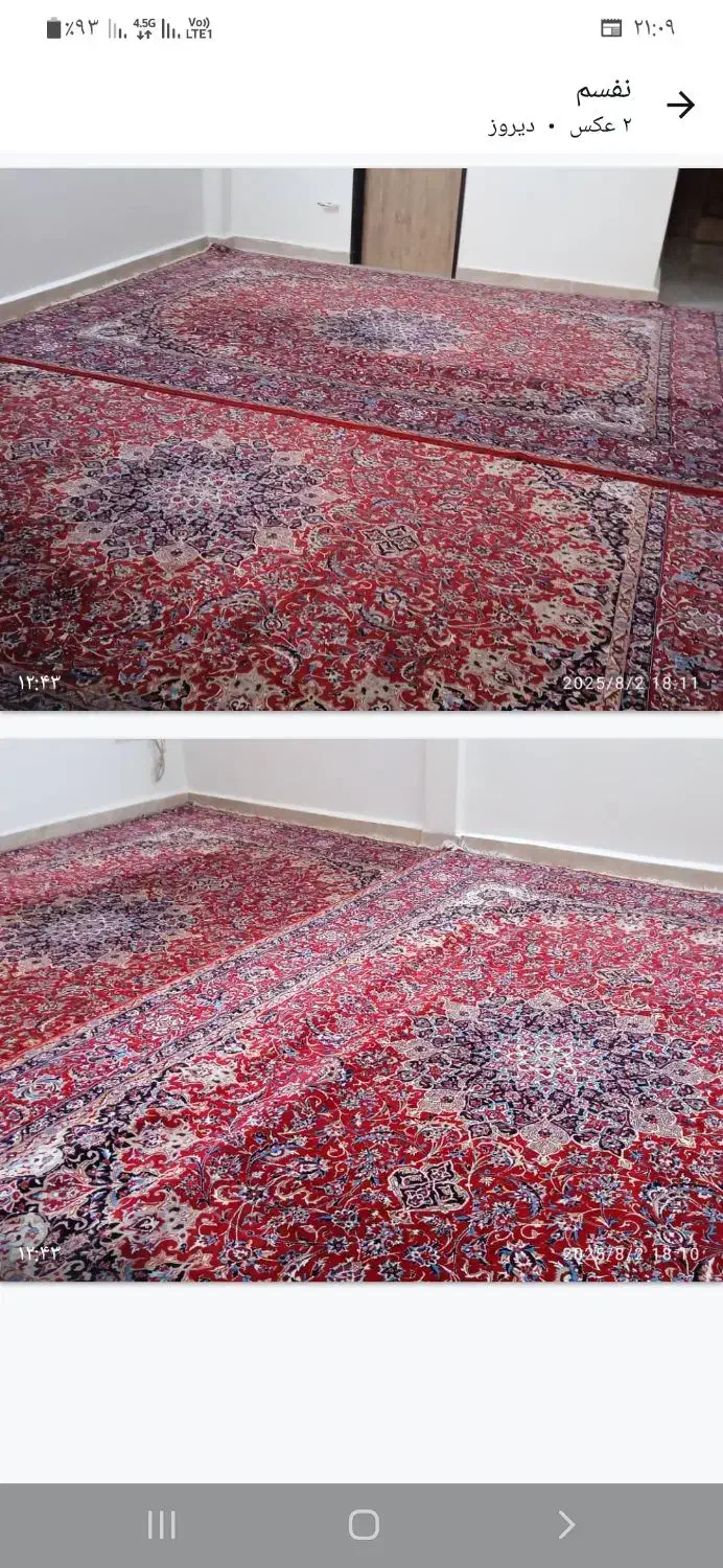 فرش به رنگ لاکی|فرش|مشهد, شهرک لشکر (شهرک غرب)|دیوار