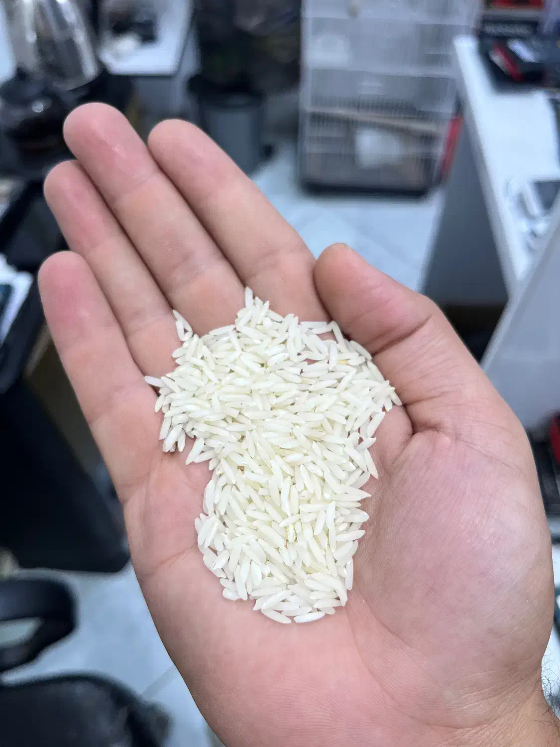 فروش برنج هاشمی درجه یک|خوردنی و آشامیدنی|سنگر, |دیوار