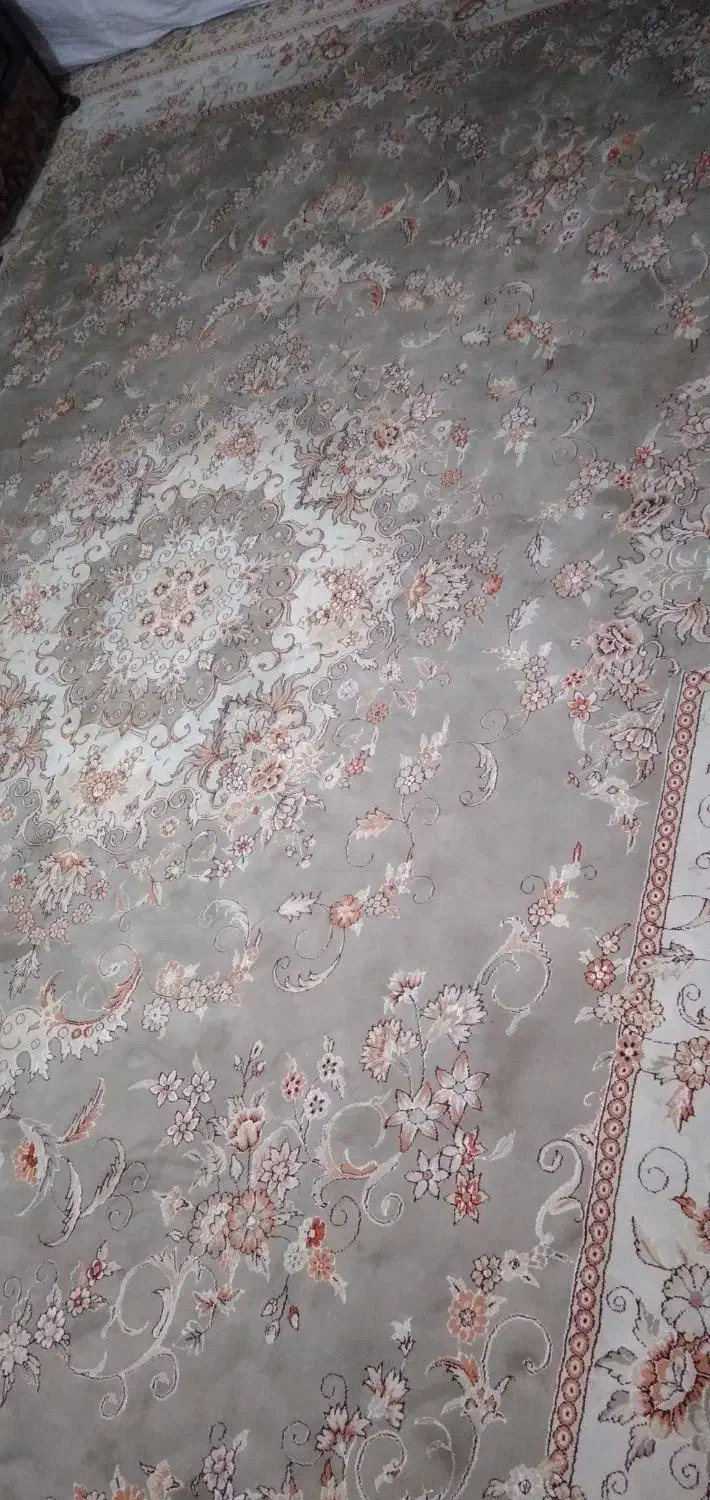 دوعدد فرش و وسایل دیگر|فرش|همدان, |دیوار